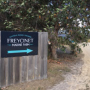 Freycinet Marine Farm - Salt Design